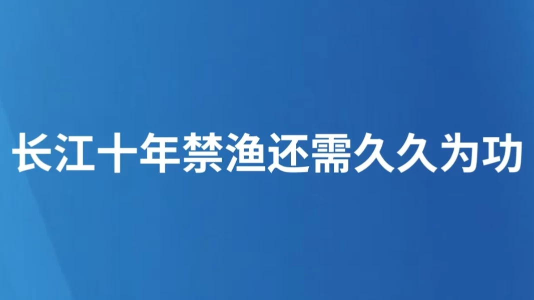 长江十年禁渔还需久久为功