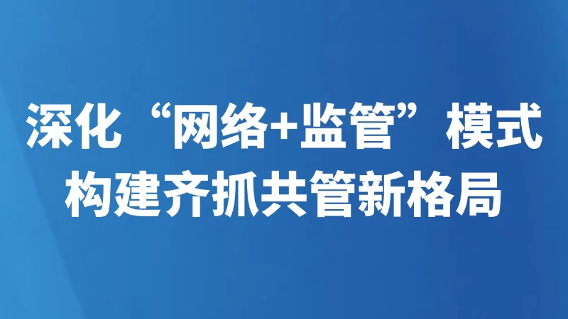 深化“网络+监管”模式构建齐抓共管新格局
