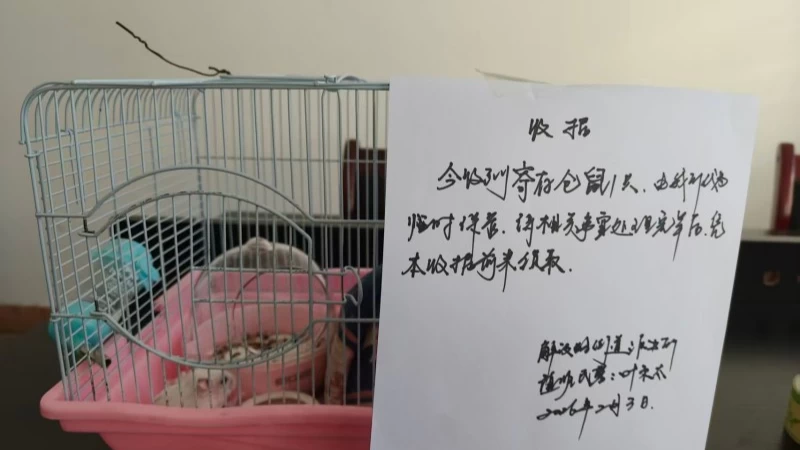孩子带着仓鼠来“求助”——新疆阿勒泰市公安局民警接下特别“警情”