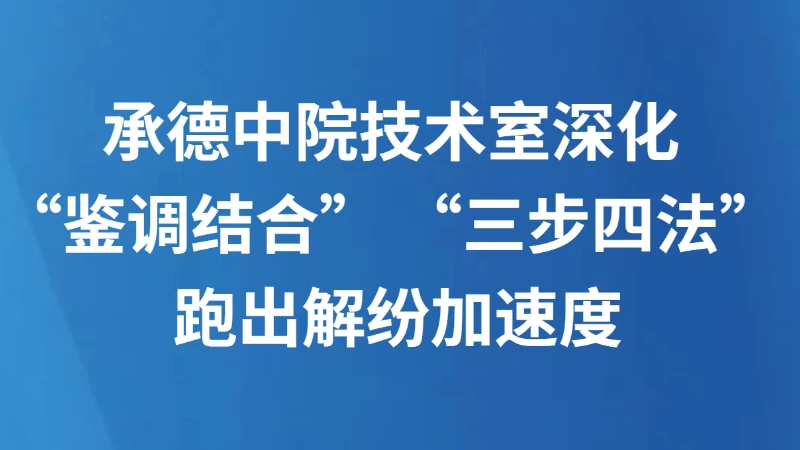 承德中院技术室深化“鉴调结合” “三步四法” 跑出解纷加速度
