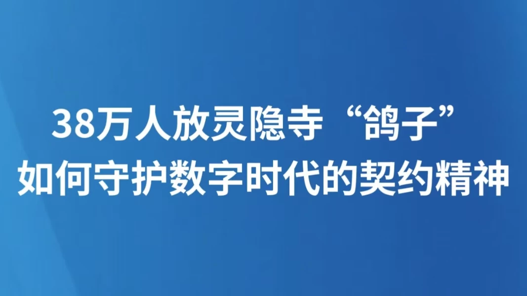 38万人放灵隐寺“鸽子”，如何守护数字时代的契约精神