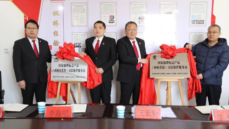 河南省南阳市西峡县人民法院：司法护航“双地标” 两级法院为特色产业注入法治动能