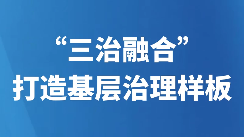 “三治融合”打造基层治理样板