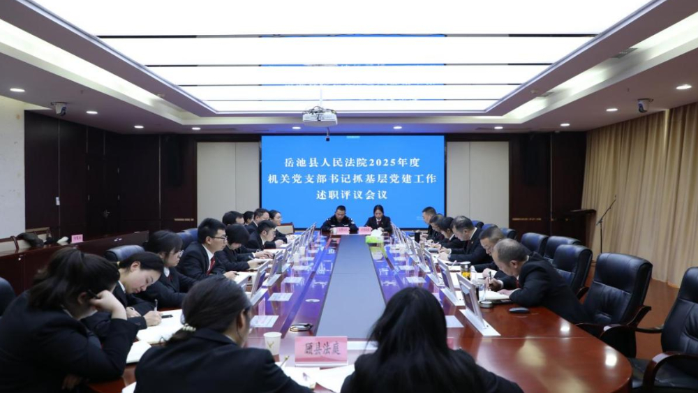党建领航强根基 述职评议促提升
