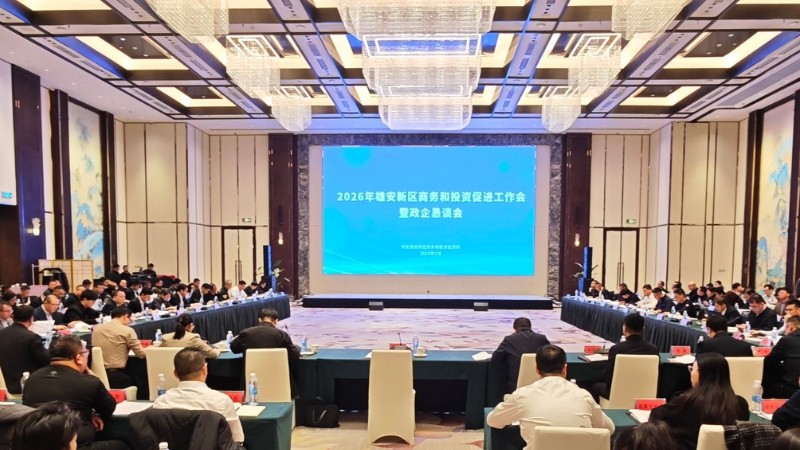 雄安市场化疏解亮出年度成绩单
