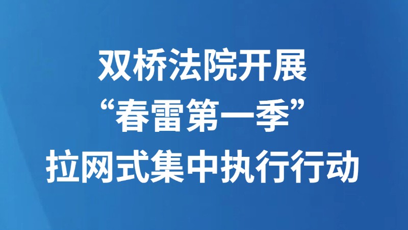 双桥法院开展“春雷第一季”拉网式集中执行行动