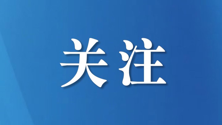 法治护航，与“新”同行