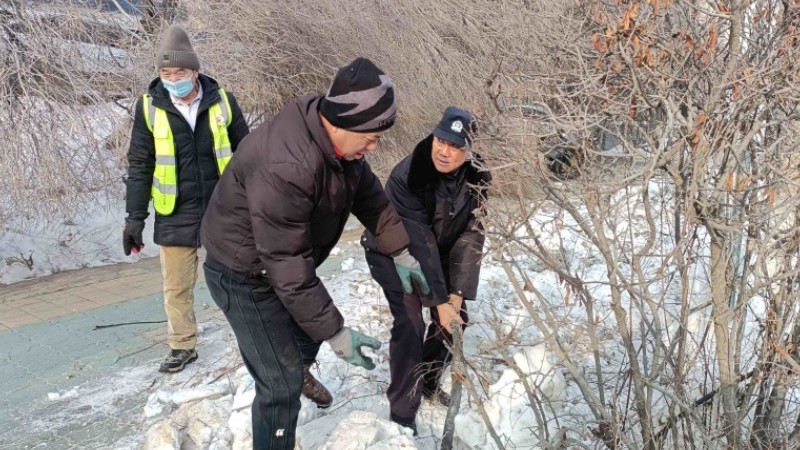 新疆乌鲁木齐市公安局高新区（新市区）分局：积雪压断树枝阻通行 民警联动清障保平安