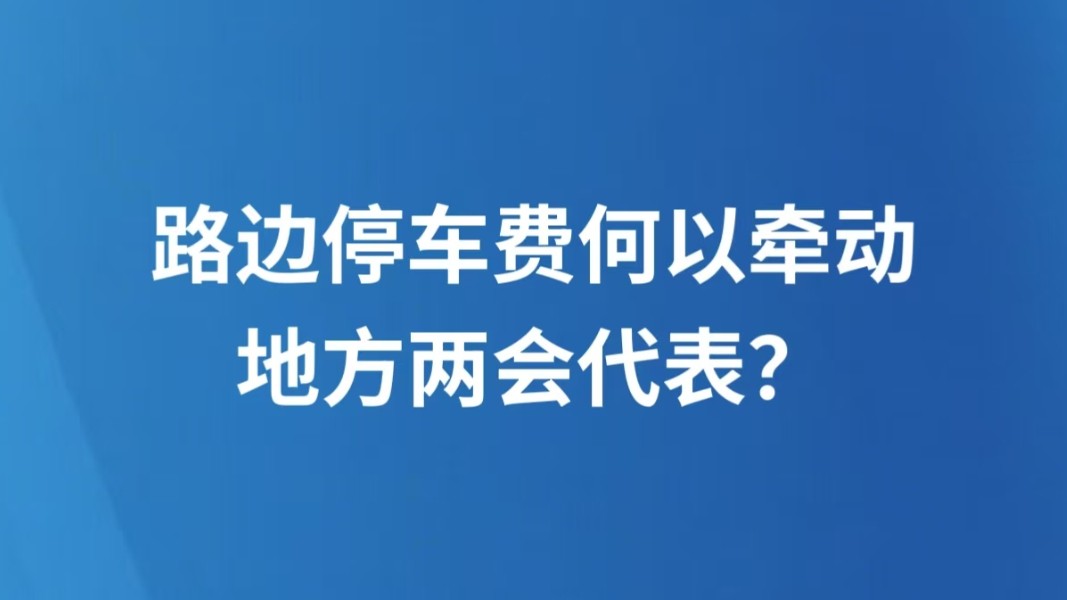 路边停车费何以牵动地方两会代表？