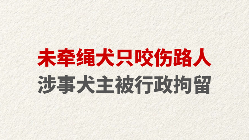 未牵绳犬只咬伤路人 涉事犬主被行政拘留