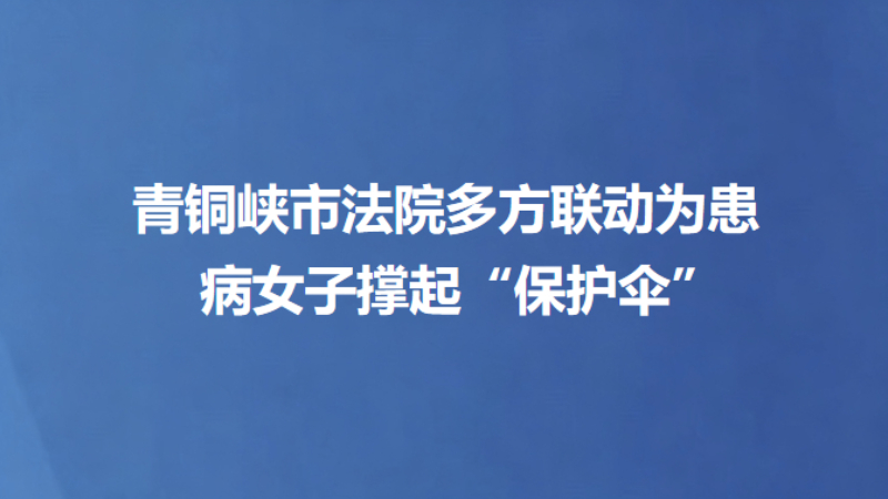 青铜峡市法院多方联动为患病女子撑起“保护伞”