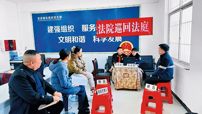 变与不变：见证诉讼服务的“蝶变”