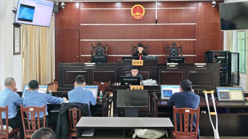 海南陵水法院巡回审判严惩滥伐林木 以案释法守护绿水青山