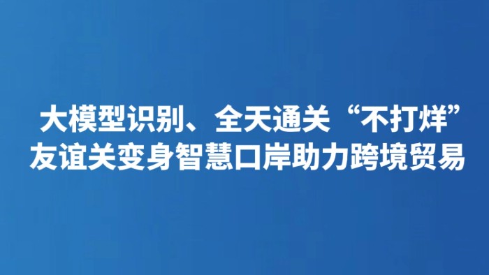 大模型识别、全天通关“不打烊”  友谊关变身智慧口岸助力跨境贸易