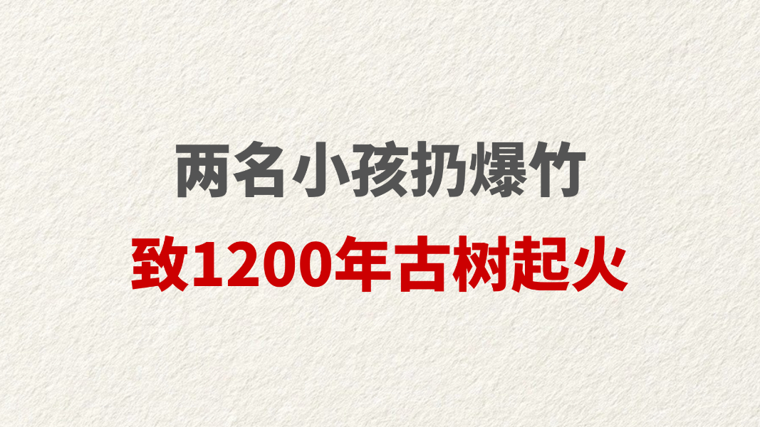 两名小孩扔爆竹致1200年古树起火
