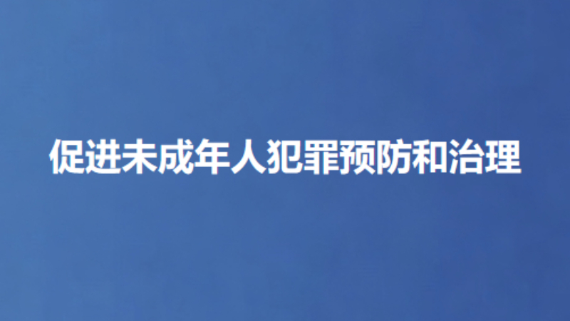 促进未成年人犯罪预防和治理