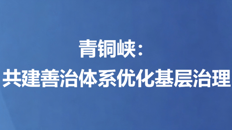青铜峡：共建善治体系优化基层治理