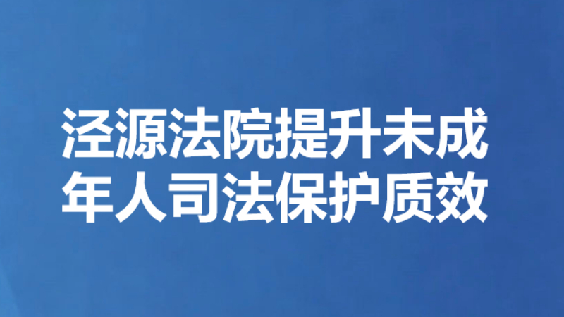 泾源法院提升未成年人司法保护质效