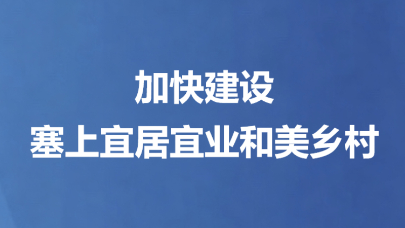 加快建设塞上宜居宜业和美乡村