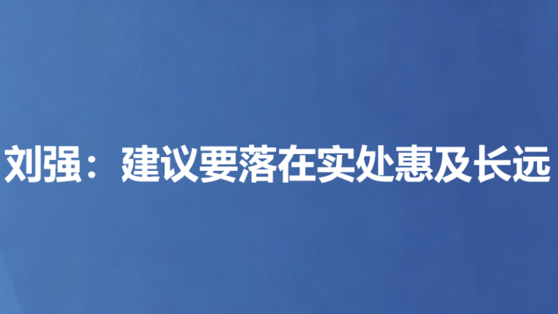 刘强：建议要落在实处惠及长远