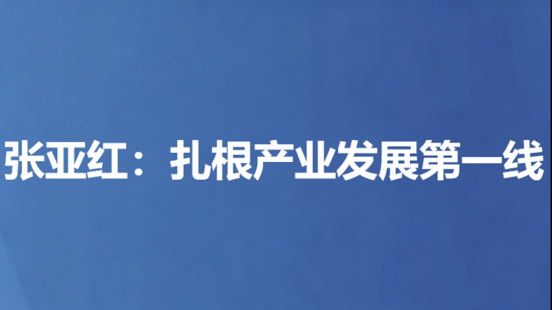 张亚红：扎根产业发展第一线