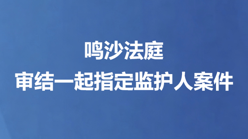 鸣沙法庭审结一起指定监护人案件
