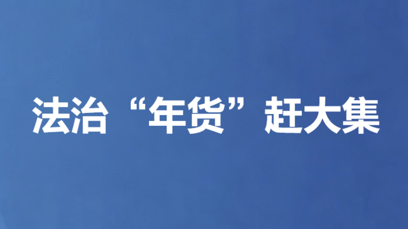 法治“年货”赶大集