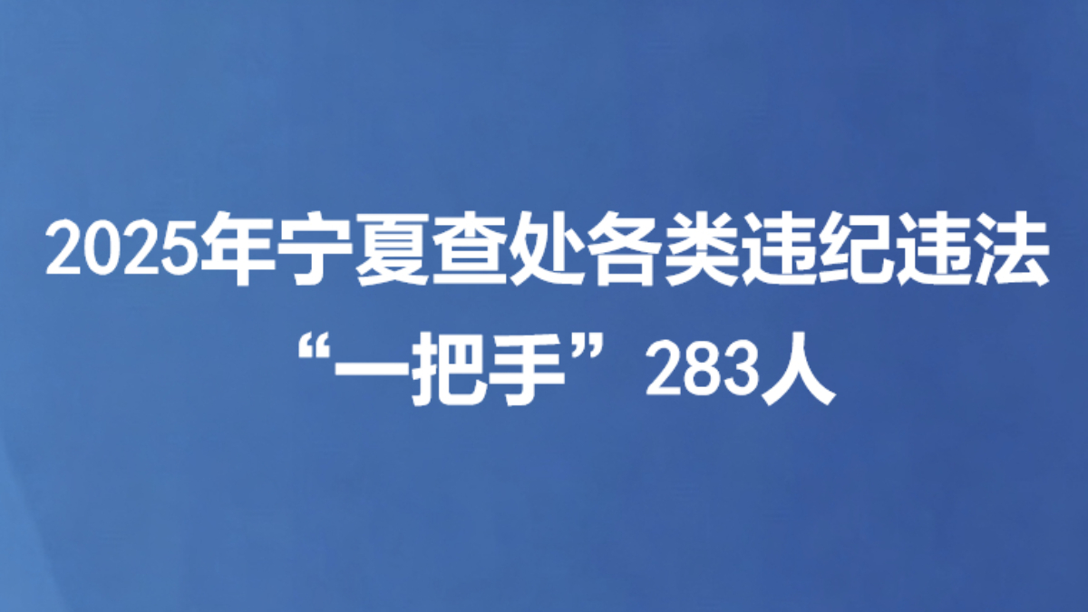 2025年宁夏查处各类违纪违法“一把手”283人