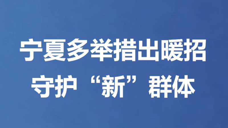 宁夏多举措出暖招守护“新”群体