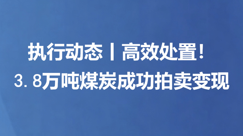 执行动态丨高效处置！3.8万吨煤炭成功拍卖变现
