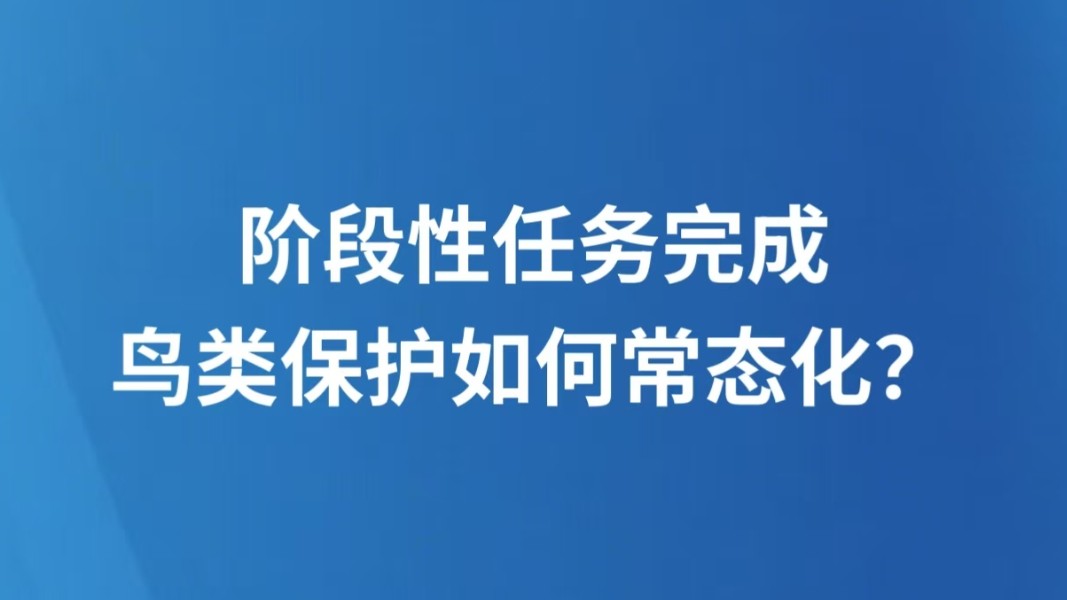 阶段性任务完成，鸟类保护如何常态化？