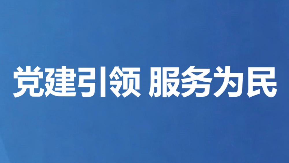 党建引领 服务为民