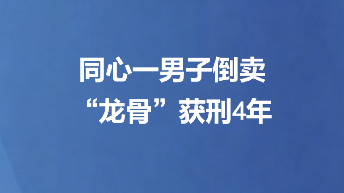 同心一男子倒卖“龙骨”获刑4年