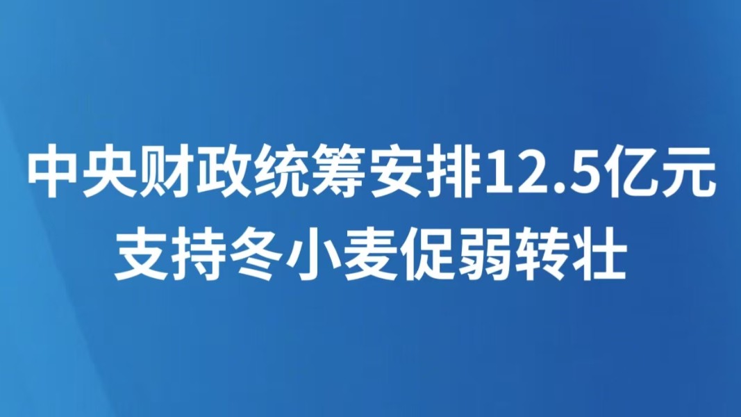 中央财政统筹安排12.5亿元支持冬小麦促弱转壮