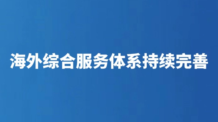海外综合服务体系持续完善