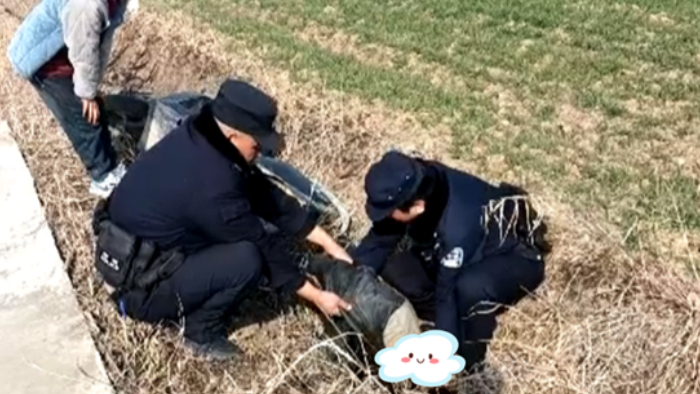 民警及时救助醉酒群众 守护新春平安