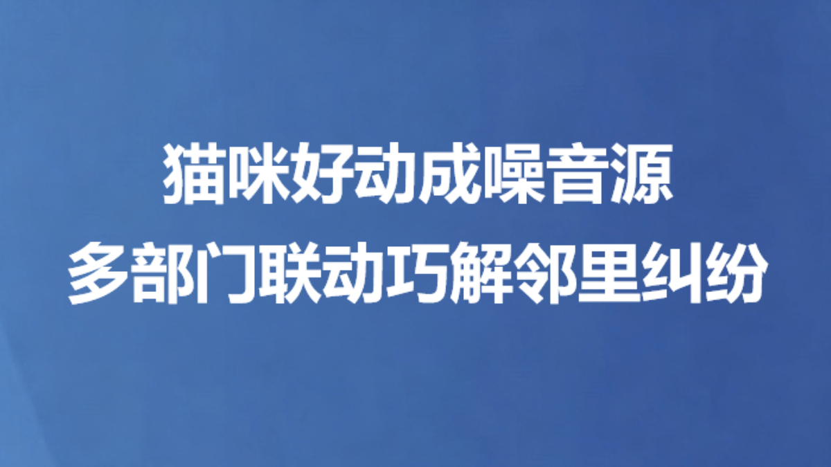 猫咪好动成噪音源 多部门联动巧解邻里纠纷
