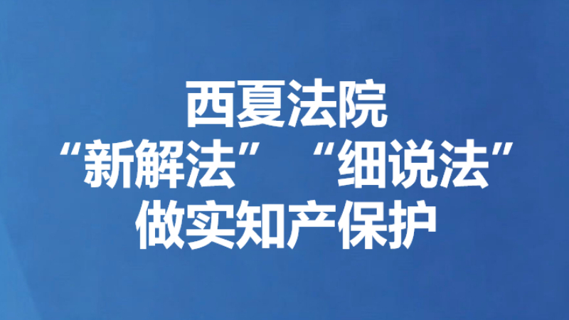西夏法院“新解法”“细说法”做实知产保护