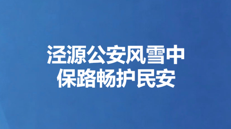 泾源公安风雪中保路畅护民安