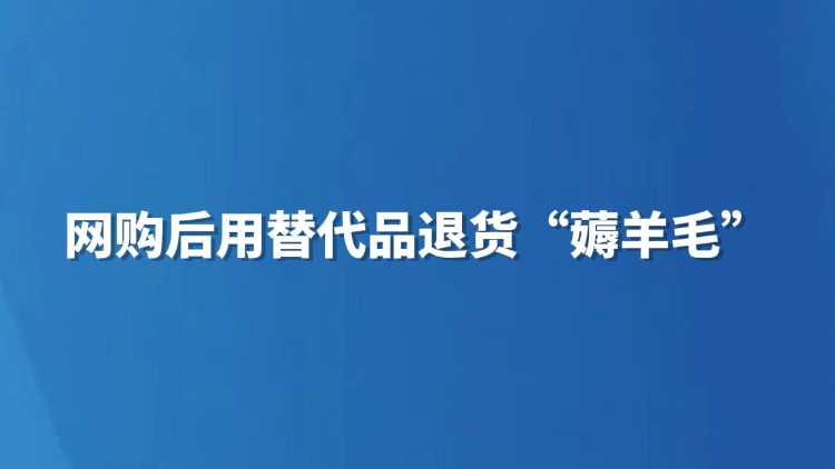 网购后用替代品退货“薅羊毛”