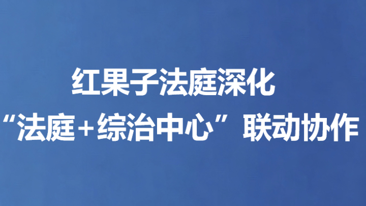 红果子法庭深化“法庭+综治中心”联动协作