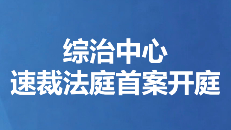 综治中心速裁法庭首案开庭