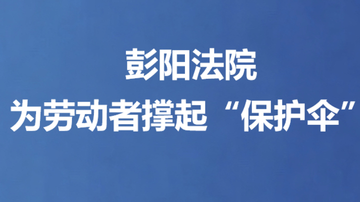 彭阳法院为劳动者撑起“保护伞”