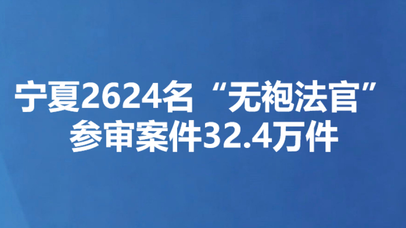 宁夏2624名“无袍法官”参审案件32.4万件
