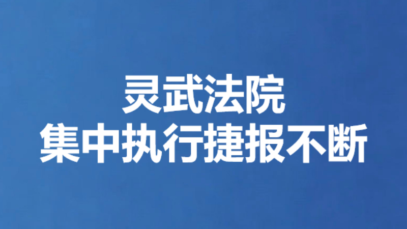 灵武法院集中执行捷报不断