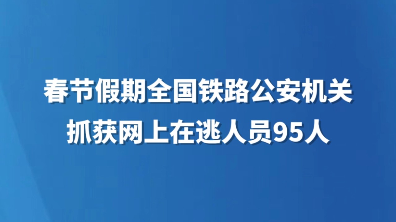 春节假期全国铁路公安机关抓获网上在逃人员95人