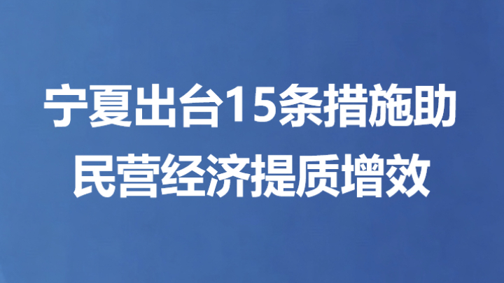 宁夏出台15条措施助民营经济提质增效