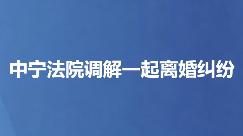 中宁法院调解一起离婚纠纷