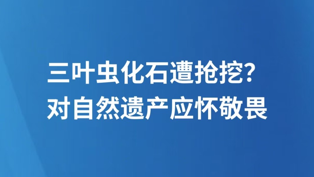 三叶虫化石遭抢挖？对自然遗产应怀敬畏
