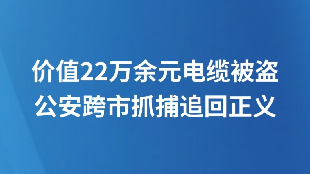 价值22万余元电缆被盗 公安跨市抓捕追回正义